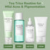 SKIN1004 Tea-Trica Routine for Mild Acne & Pigmentation - ORION XO Exclusive