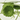 Beauty of Joseon Light On Serum : Centella + Vita C 30ml Beauty of Joseon Skin Care