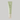 Beauty of Joseon Light On Serum : Centella + Vita C 30ml Beauty of Joseon Skin Care