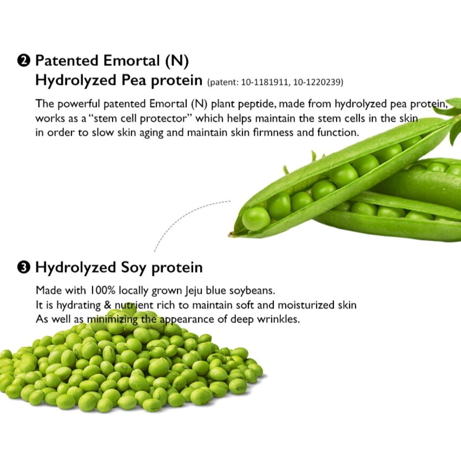 Haruharu WONDER Centella Phyto & 5 Peptide Concentrate-Cream 30ml - ORION XO Exclusive