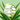 SNP Aloe Vera Intensive Soothing Gel 300g SNP Skin Care