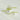 Beauty of Joseon Calming Serum : Green Tea + Panthenol 30ml Beauty of Joseon Skin Care