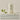 Beauty of Joseon Matte Sun Stick : Mugwort + Camelia (SPF 50+ PA++++) 18g Beauty of Joseon Skin Care