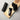 NACIFIC Blackhead All Kill Pack 40ml Nacific Skin Care