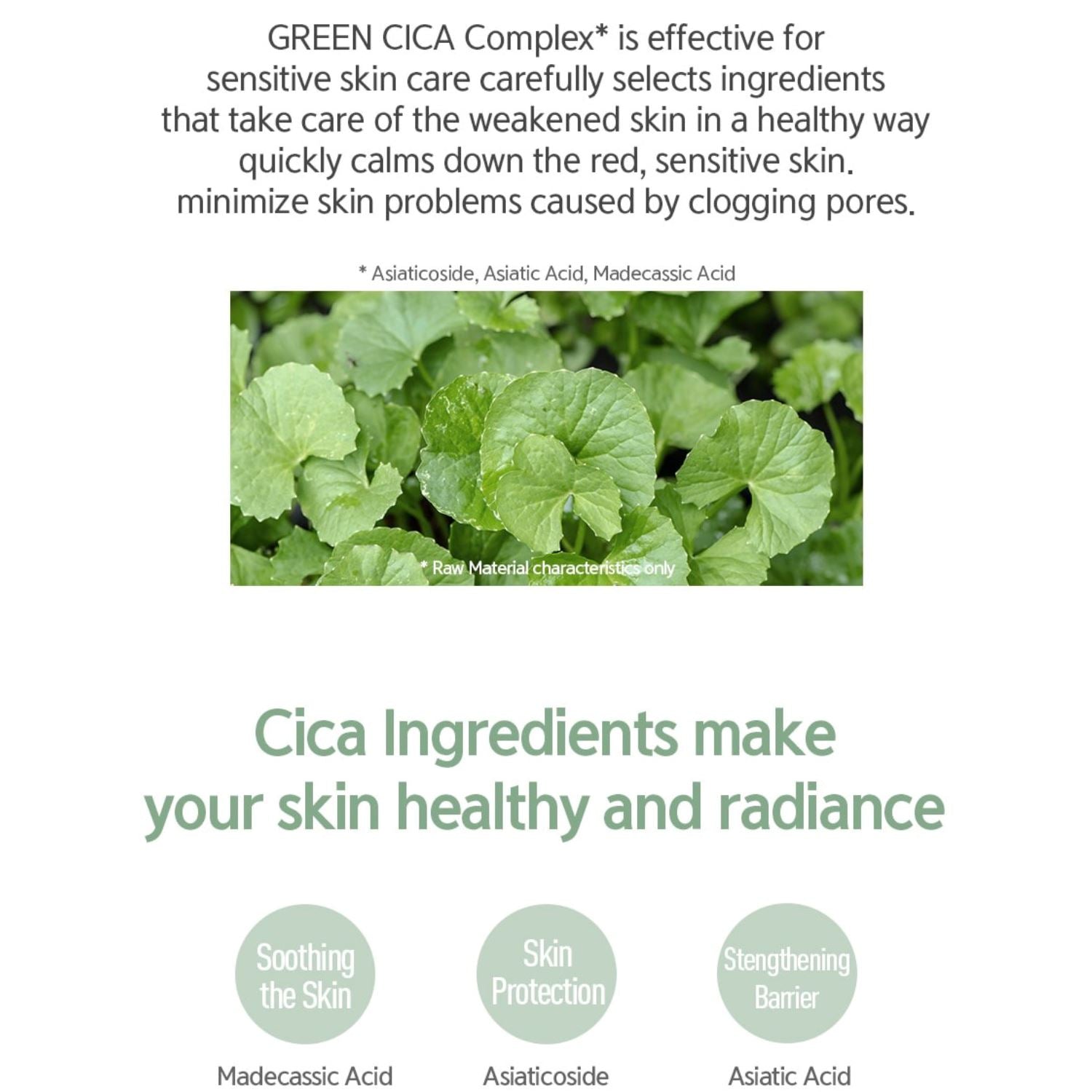 NACIFIC Fresh Cica Plus Clear Toner 150ml - ORION XO Exclusive