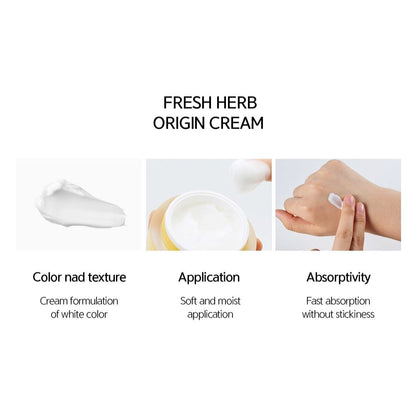 Nacific Fresh Herb Origin Cream 50ml Skin Care Nacific ORION XO Sri Lanka