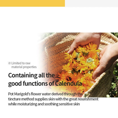 Nacific Fresh Herb Origin Toner 150ml Skin Care Nacific ORION XO Sri Lanka