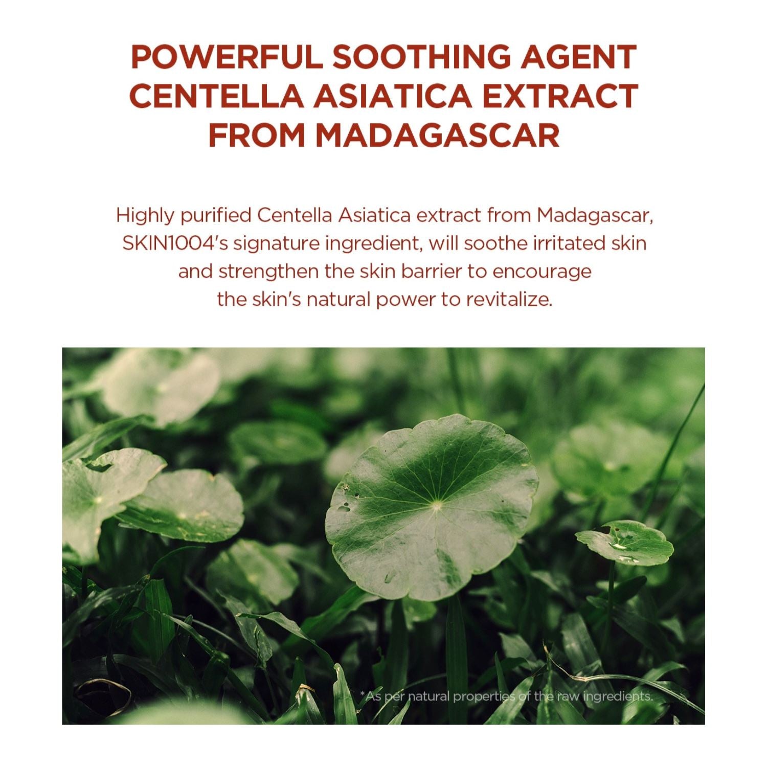 SKIN1004 Madagascar Centella Poremizing Quick Clay Stick Mask - ORION XO Exclusive