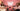 ORION XO Podcast Episode 3: Hair Fall and Scalp Care