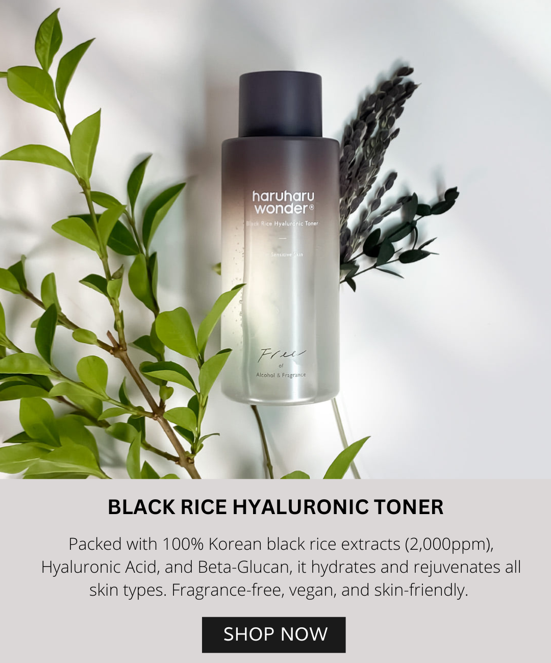 Haruharu WONDER Black Rice Hyaluronic Toner for Sensitive Skin 150ml