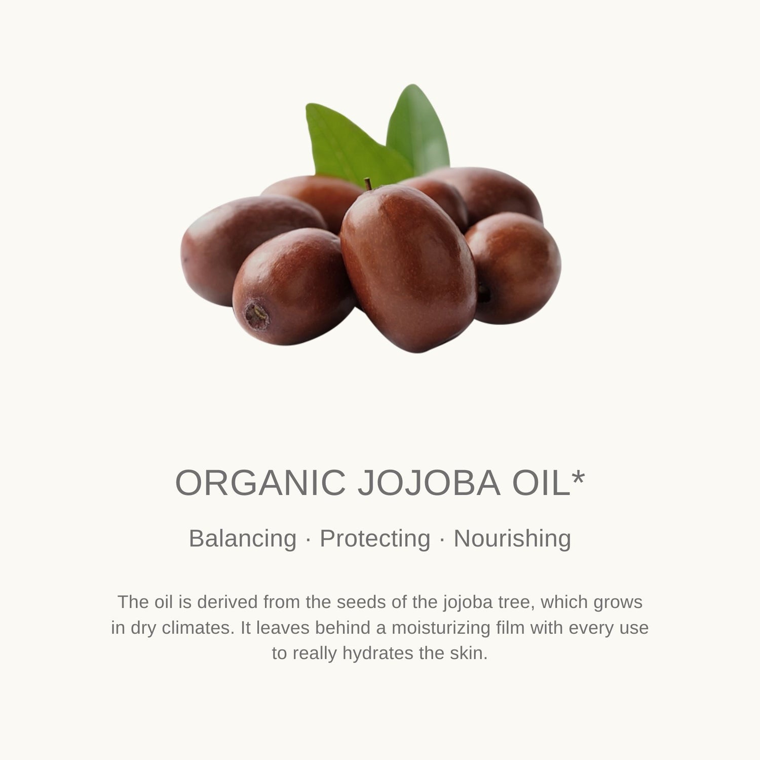 AROMATICA Organic Golden Jojoba Oil 30ml - ORION XO Exclusive