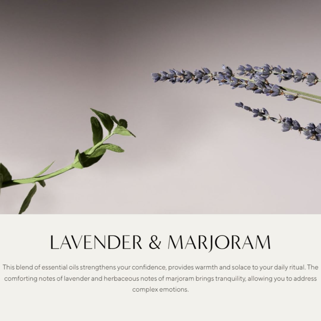 AROMATICA Serene Lavender &amp; Marjoram Body Lotion 300ml - ORION XO Exclusive