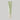 Beauty of Joseon Light On Serum : Centella + Vita C 30ml - ORION XO Exclusive