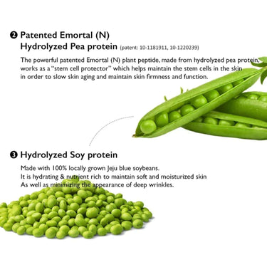 Haruharu WONDER Centella Phyto & 5 Peptide Concentrate Cream 30ml HaruHaru Wonder Skin Care