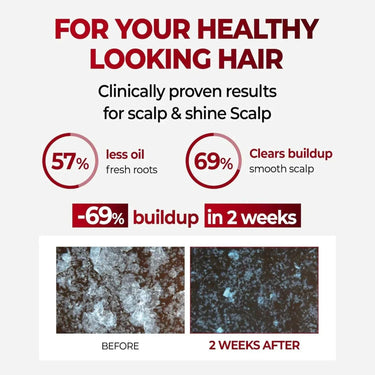 Kundal Ultimate Hair Revival Bundle KUNDAL Hair Care