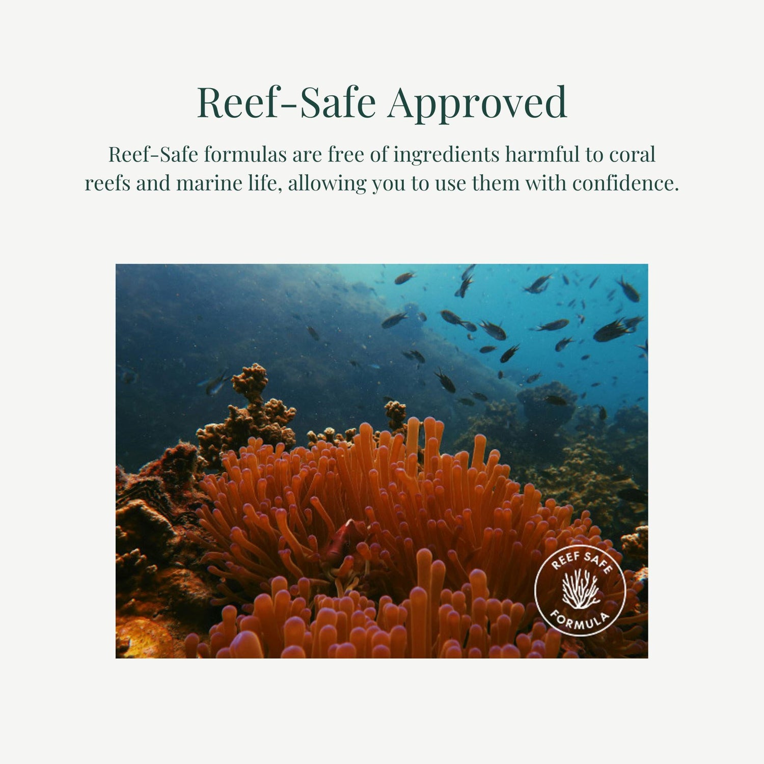 PURITO SEOUL Daily Soft Touch Sunscreen SPF50+ PA++++ 60ml Skin Care PURITO ORION XO Sri Lanka