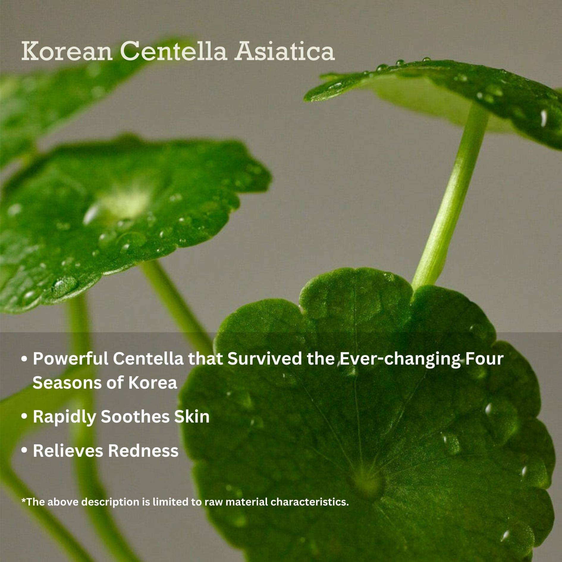 PURITO SEOUL Wonder Releaf Centella Cream Unscented 50ml Skin Care PURITO ORION XO Sri Lanka