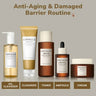 SKIN1004 Anti-Aging & Damaged Barrier Routine SKIN1004 Routines & Sets