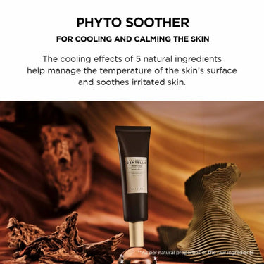 SKIN1004 Madagascar Centella Probio-Cica Glow Sun Ampoule 1.5ml (Pouch Sample) SKIN1004 Skin Care