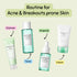SKIN1004 Routine for Acne and Breakouts Prone Skin Skin Care SKIN1004 ORION XO Sri Lanka