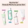 SKIN1004 Routine for Pores and Mild Acne Prone Skin SKIN1004 Routines & Sets