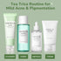 SKIN1004 Tea Trica Routine for Mild Acne & Pigmentation Skin Care SKIN1004 ORION XO Sri Lanka