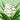 SNP Aloe Vera Intensive Soothing Gel 300g - ORION XO Exclusive