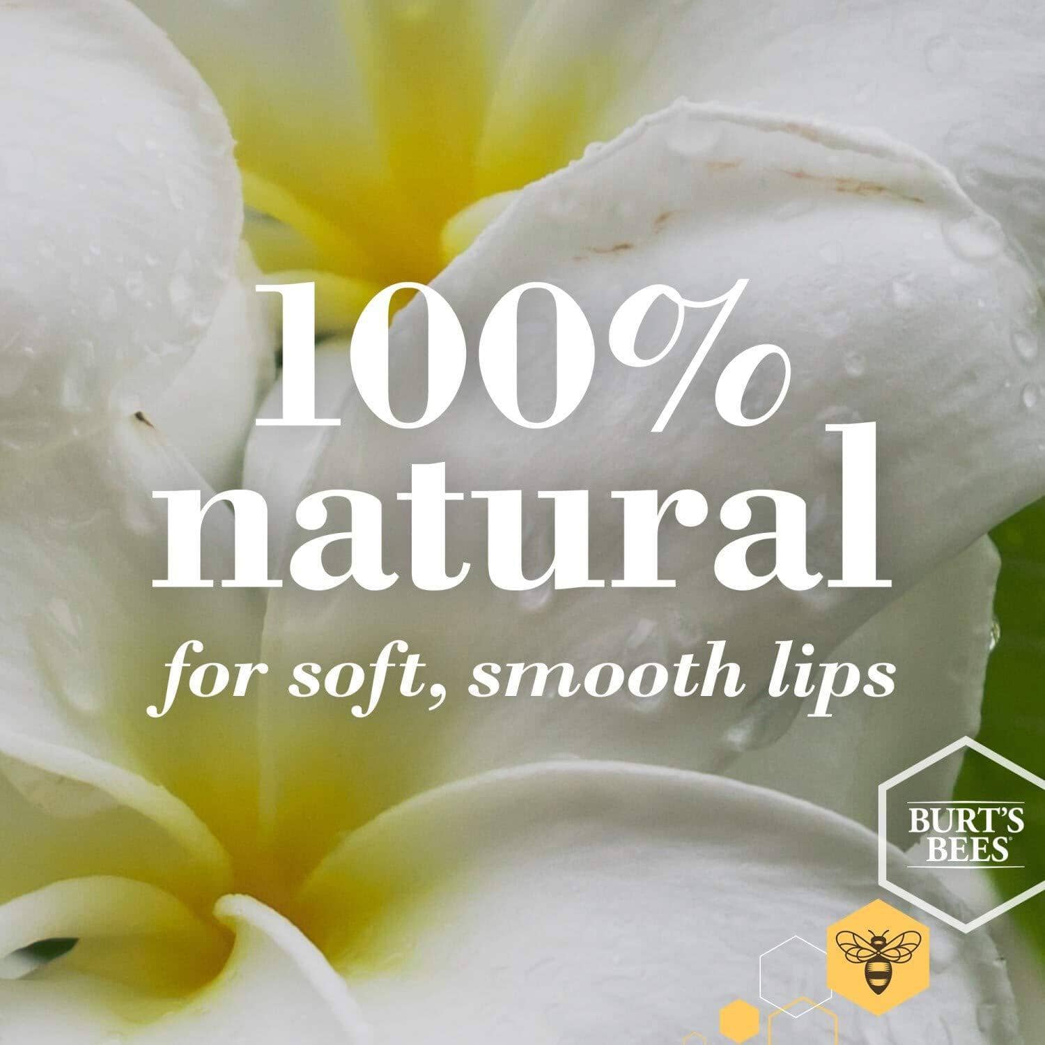 100% Natural Moisturising Lip Balm Vanilla Bean 4.25g Skin Care Burt&
