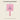 3CE Square Mini Hand Mirror Pink Rumour - ORION XO Exclusive