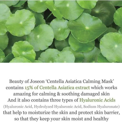 Beauty of Joseon Centella Asiatica Calming Mask 25ml Skin Care Beauty of Joseon ORION XO Sri Lanka