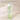 Beauty of Joseon Green Plum Refreshing Toner: AHA + BHA 150ml - ORION XO Exclusive