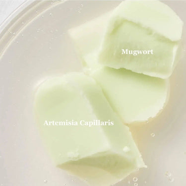 Beauty of Joseon Matte Sun Stick : Mugwort + Camelia (SPF 50+ PA++++) 18g Beauty of Joseon Skin Care