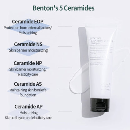 Benton Ceramide Cream 10000ppm 80ml Skin Care Benton ORION XO Sri Lanka