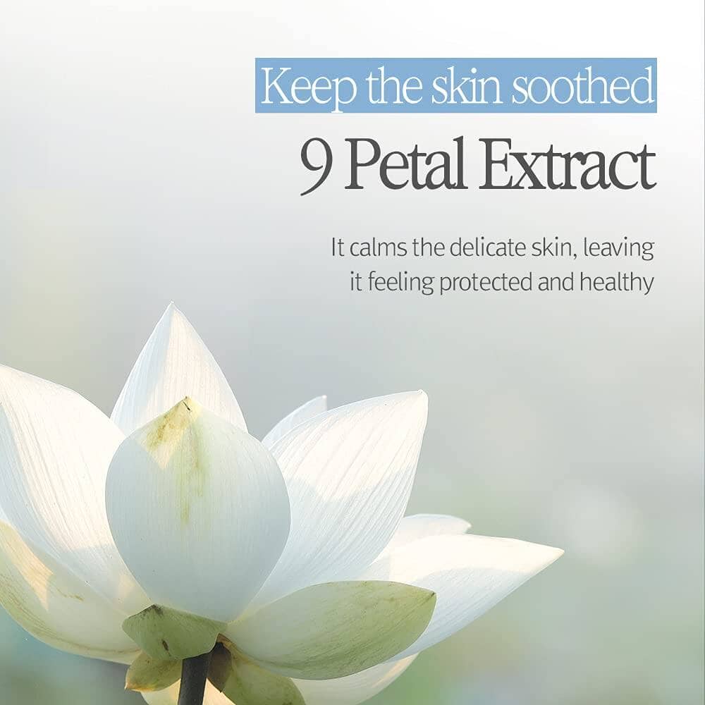 BOUQUET GARNI Fragranced Hand Cream - Clean Soap 50ml Skin Care BOUQUET GARNI ORION XO Sri Lanka