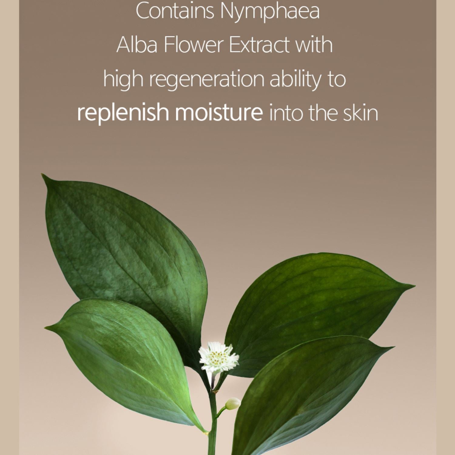 Nacific Fresh Herb Origin Serum 50ml Skin Care Nacific ORION XO Sri Lanka