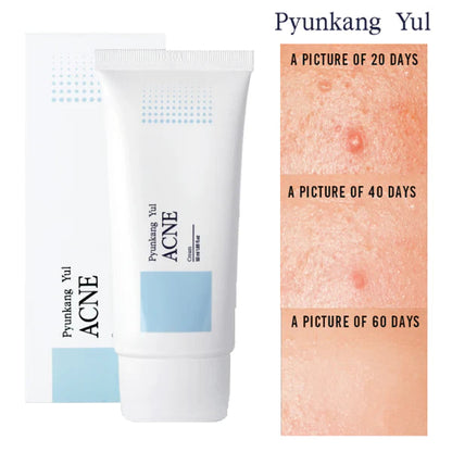 Pyunkang Yul Acne Cream 50ml Skin Care Pyunkang Yul ORION XO Sri Lanka