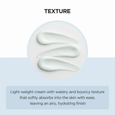 SKIN1004 Madagascar Centella Hyalu-Cica Moisture Cream 75ml SKIN1004 Skin Care